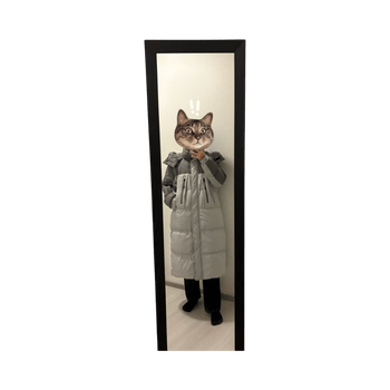 Long puffer down coat