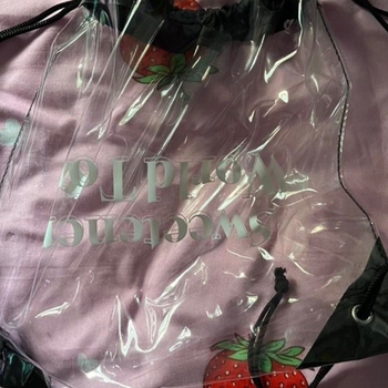 Ariana grande bag