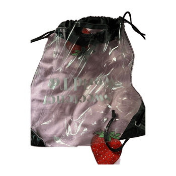 Ariana grande bag