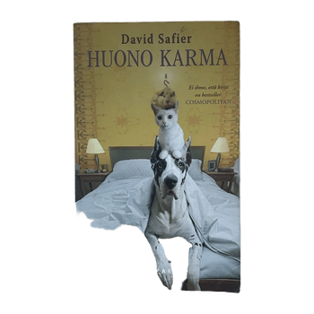 David safier accessory