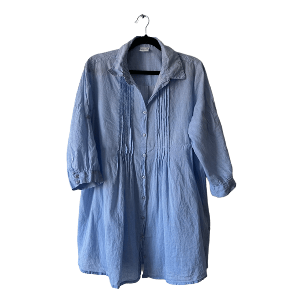 Blue checkered shirt dress