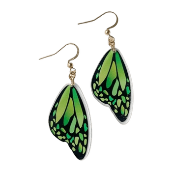 Earring jewelry