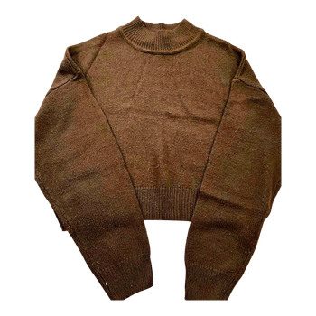 Brown mock neck sweater
