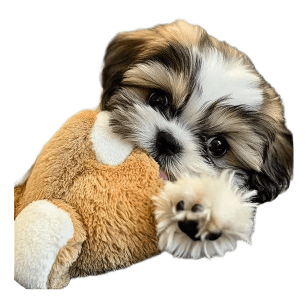 Brown plush pet toy