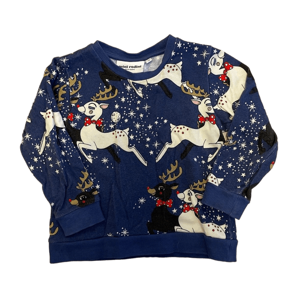 Mini rodini kids' hoodie
