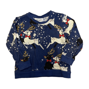Mini rodini kids' hoodie