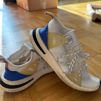 Adidas sports shoes