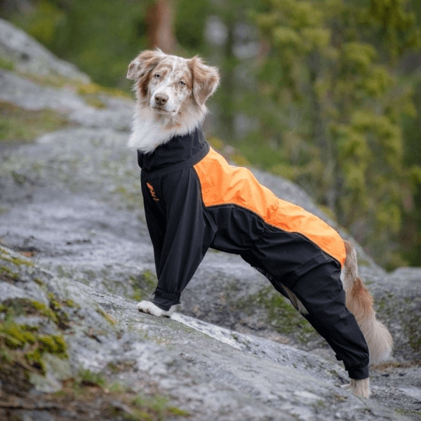 Reflective dog overall