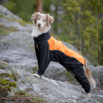 Reflective dog overall