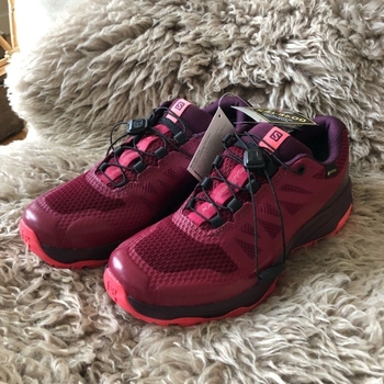 Salomon sports shoes