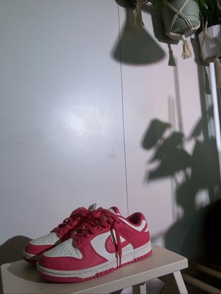 Dunk Next Nature sneakers