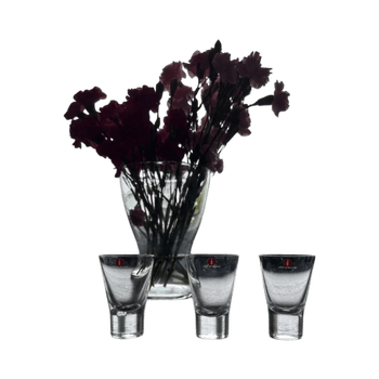 Iittala Aarne snapsilasit, 3 kpl