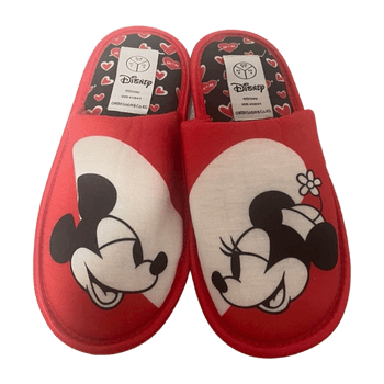 Disney shoes