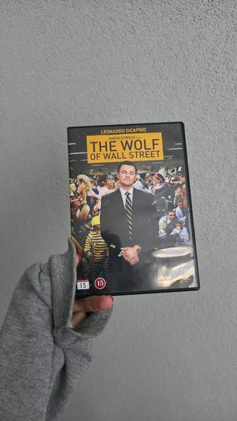 Wolf of Wallstreet -elokuva (DVD)