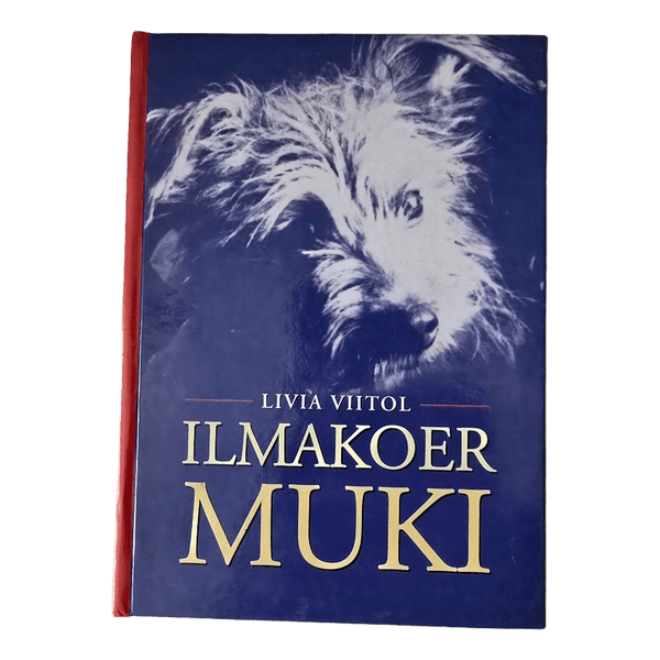 Ilmakoer muki