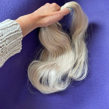 Rapunzel of sweden accessory