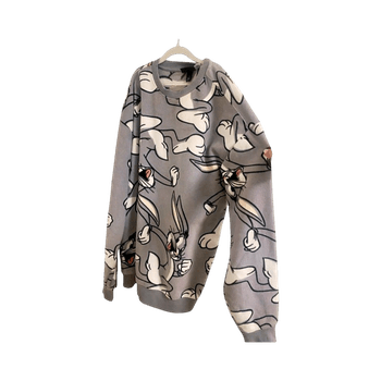 H&M looney tunes fleece college