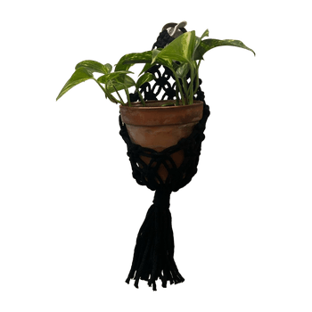 Macrame accessory