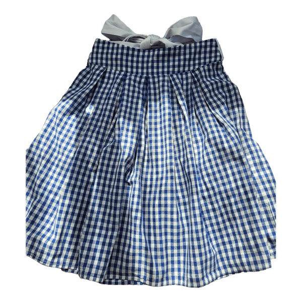 Blue gingham skirt