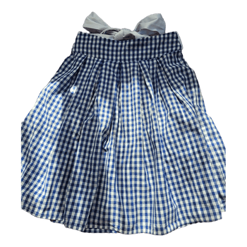 Blue gingham skirt