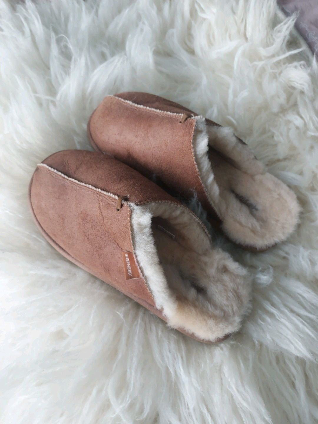Shepherd shoes