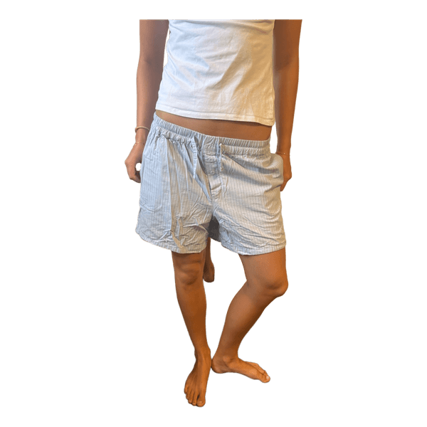 Zara shorts