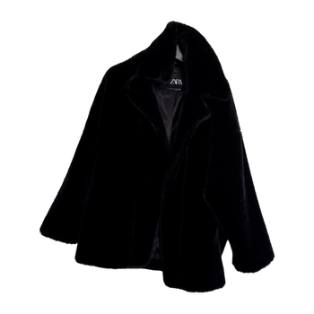 Zara coat