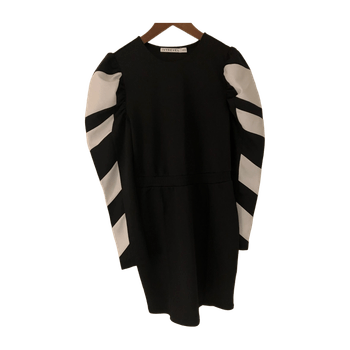 Ivyrevel dress