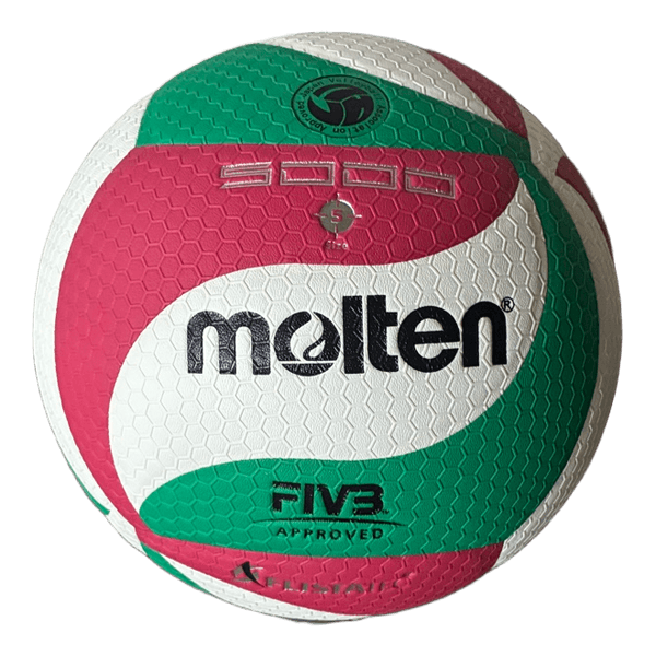 Molten volleyball 5000