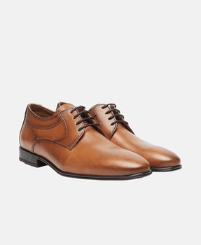 Lloyd shoes