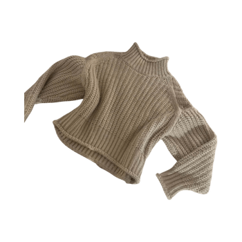 Chunky turtleneck sweater