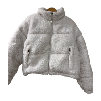 The north face coat