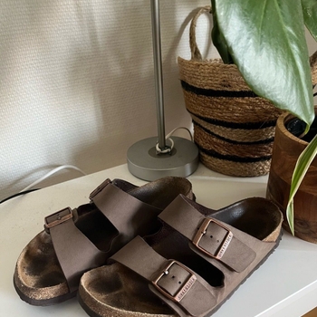Birkenstock sandals