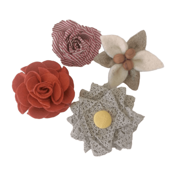 A set of brooches jewelry
