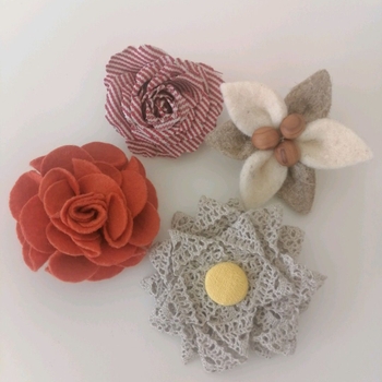 A set of brooches jewelry