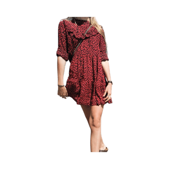 Zara dress