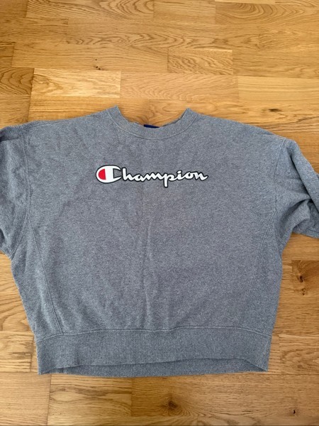 Grey Champion sweatshirt