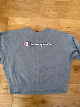 Grey Champion sweatshirt