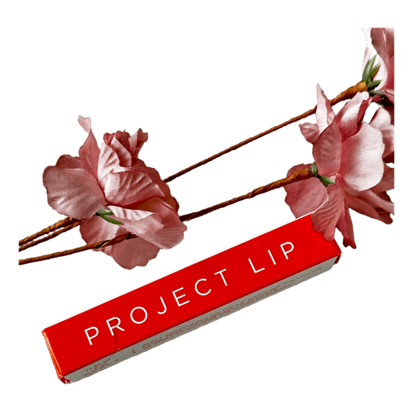 Project Lip plumping primer