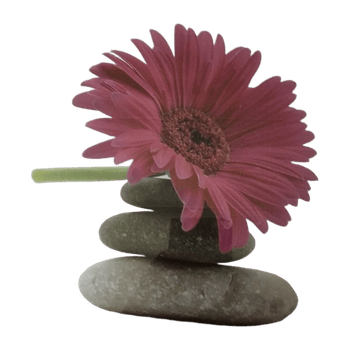 Taulu accessory