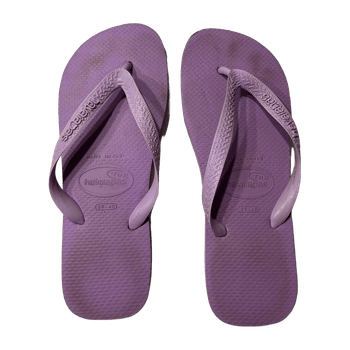 Havaianas sandals