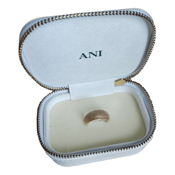 Ani jewels chunky ring