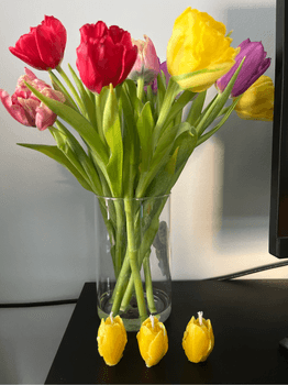tulppaanikynttilät