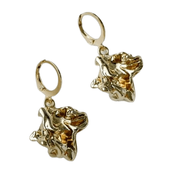 Earring jewelry