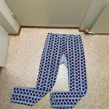 Champion joggers