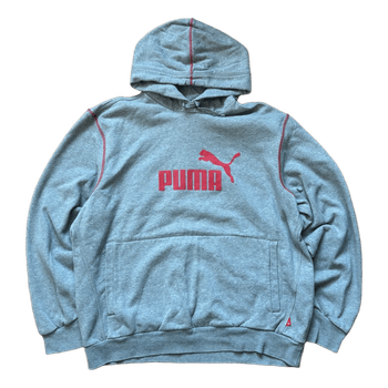 Grey Puma hoodie