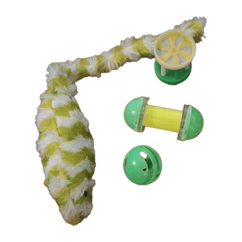 accessory