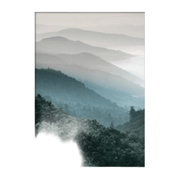 Forest Mountain Print
