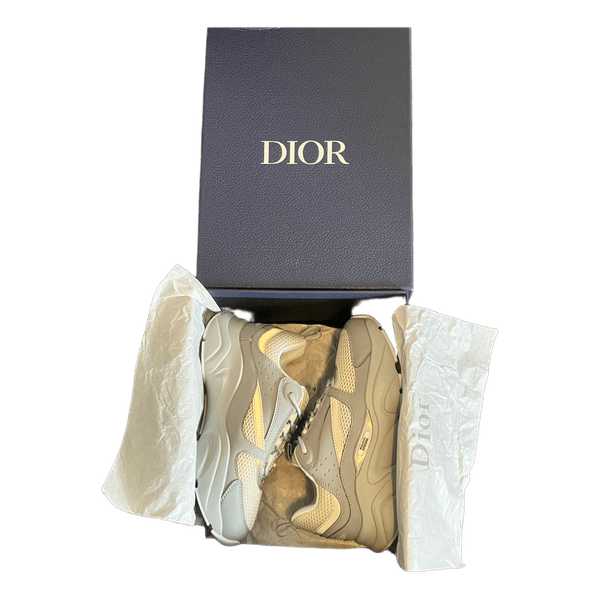 Dior B22