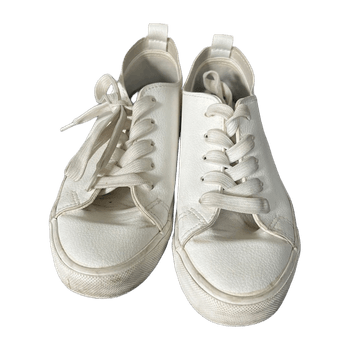 New colection sneakers